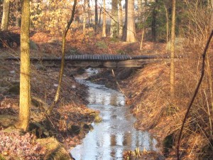The Word of God is a bridge that connects Earth with Heaven and Heaven with Earth.- Joseph Elon Lillie