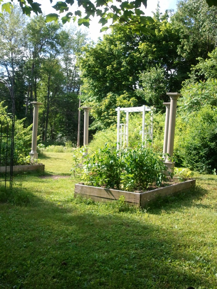 my pseudo-elizabethan garden