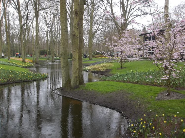 He made known his ways to Moses, his deeds to the people of Israel: Psm. 103:7 NIV