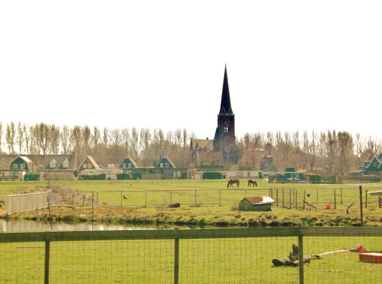 A view of  the neighborhood