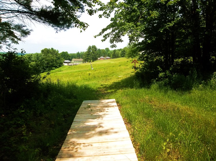 We should not judge people by their peak of excellence; but by the distance they have traveled from the point where they started. Henry Ward Beecher