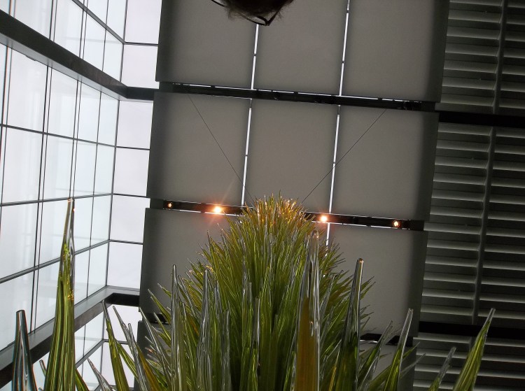 Sqaures above the glass nut tree. Boston MA