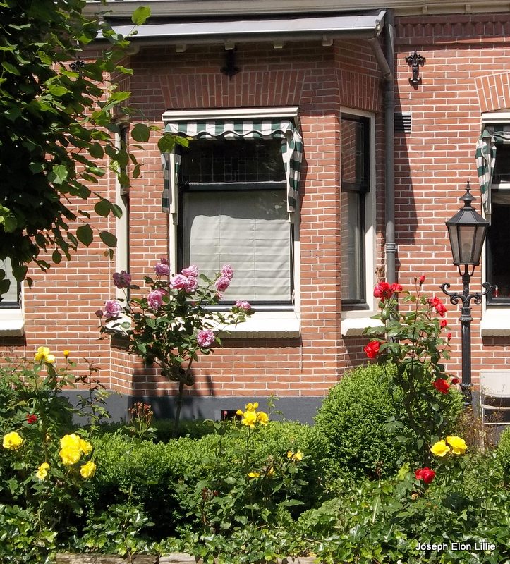 “Gardens are not made by singing 'Oh, how beautiful!' and sitting in the shade.”  ― Rudyard Kipling, Complete Verse