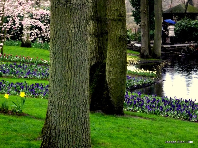  With care my flowers tend, But keep the pathway open Your home is at the end.