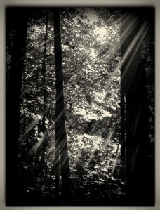 IMG_20130907_104852-009