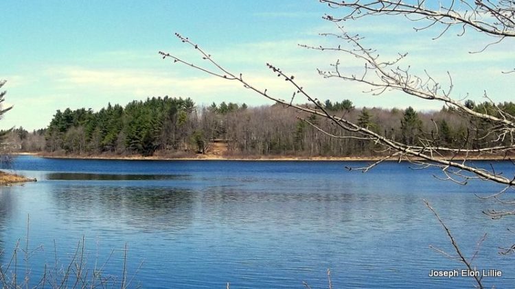 This is the piec of property we are looking at!