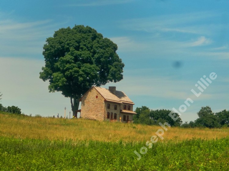 The Webb House in the Meadow Garden