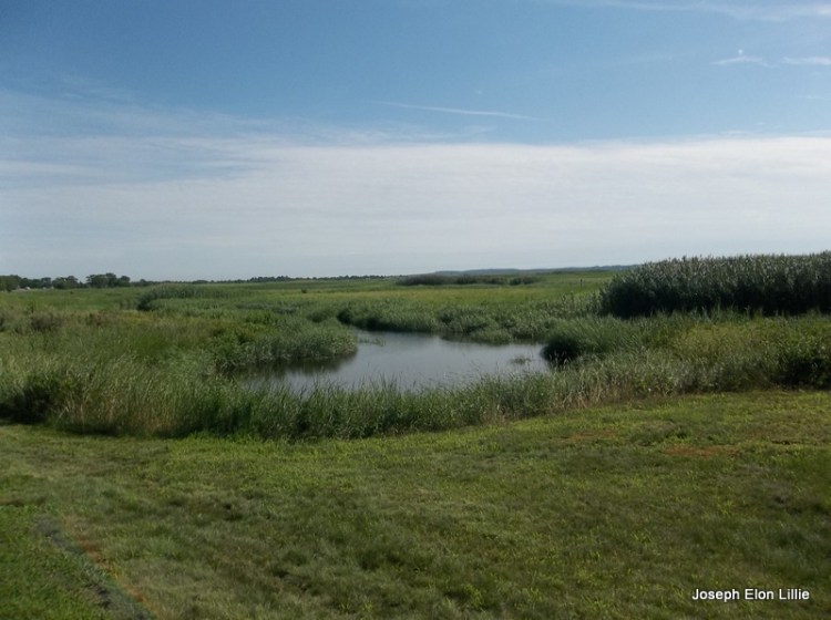 York ME, The Salt Marshes