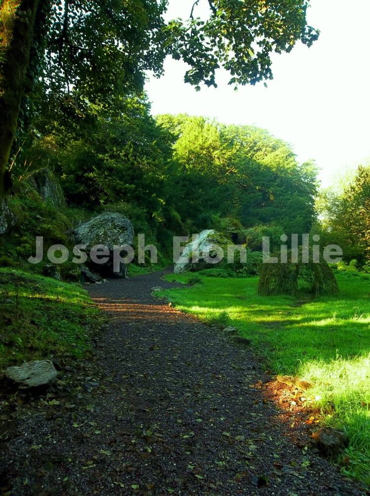 Through the Witch's Woods