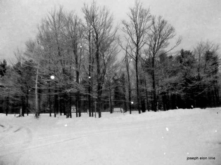 When snow falls, nature listens. ~Antoinette van Kleeff 