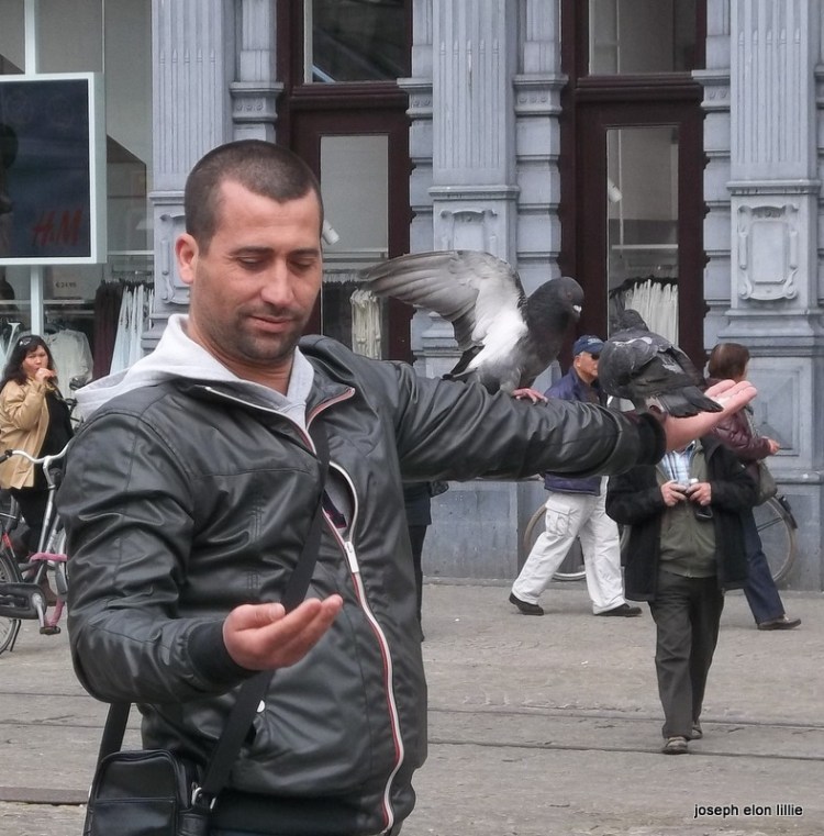 The Bird Man of Amsterdam