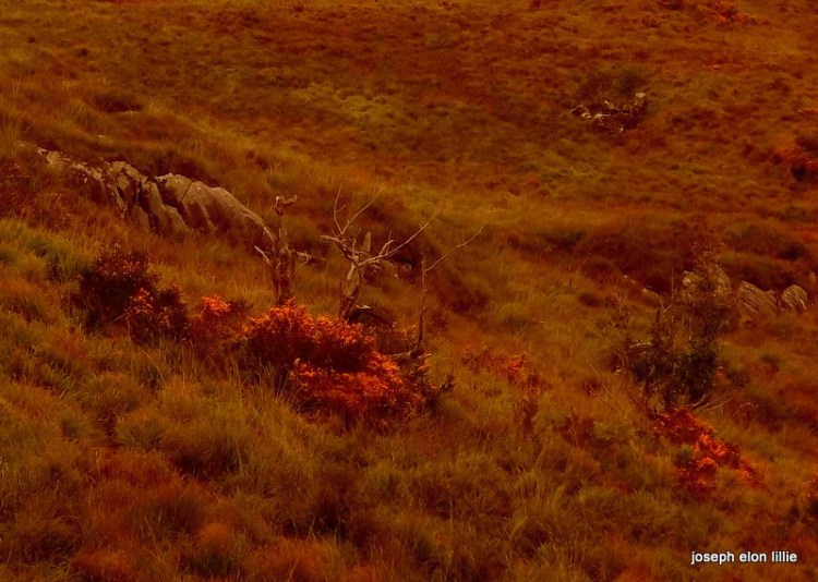 The fields of Ladies View in October