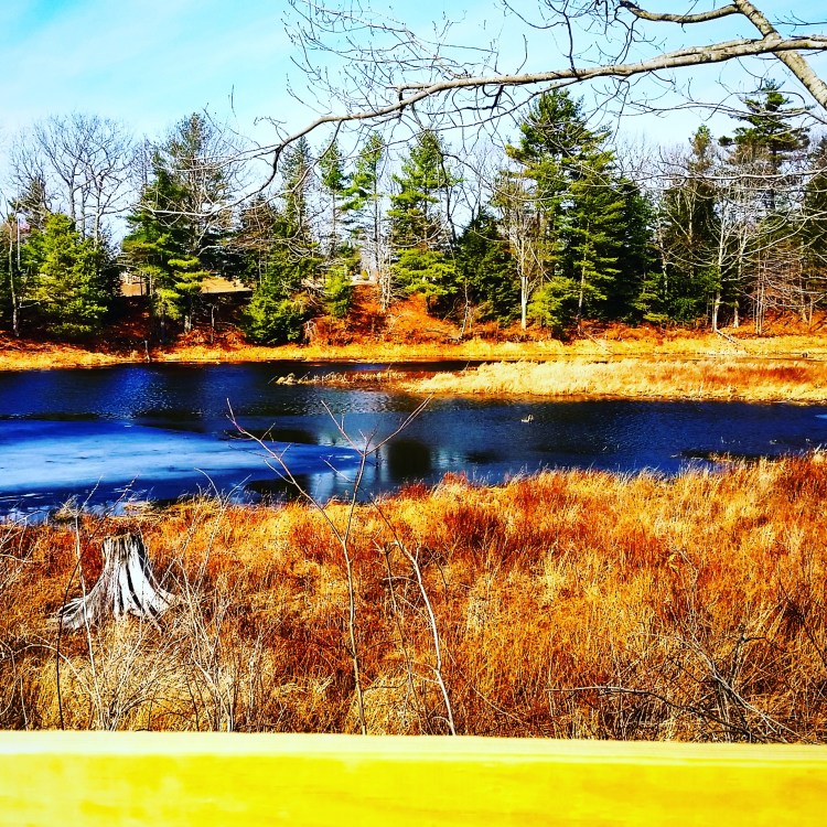 IMG_20160310_112002.jpg image