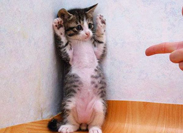 September-30-2011-02-59-28-4528ec04676fd7