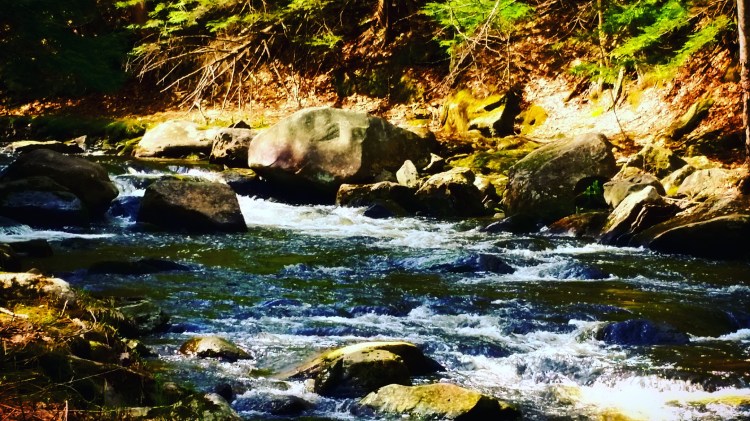 IMG_20170426_082700_125